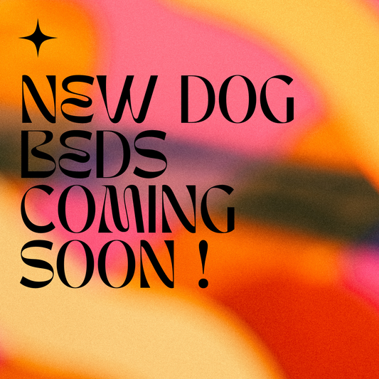 NEW DOG BEDS COMING SOON!