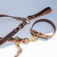 Load image into Gallery viewer, Braided Leather Collar ~ Brown
