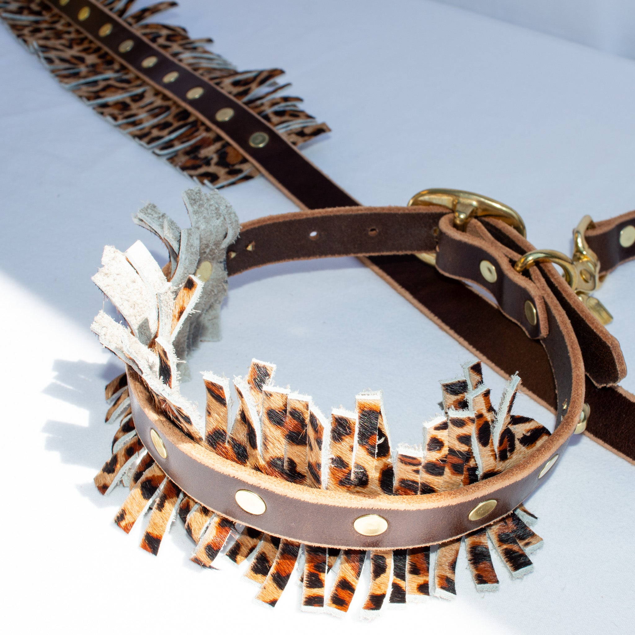 Leopard Fringe Leash & Collar Set