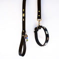 Load image into Gallery viewer, Studly Roy Leather Leash & Collar Set