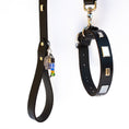 Load image into Gallery viewer, Studly Roy Leather Leash & Collar Set