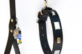 Load image into Gallery viewer, Studly Roy Leather Leash & Collar Set
