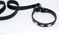 Load image into Gallery viewer, Studly Roy Leather Leash & Collar Set