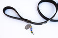 Load image into Gallery viewer, Studly Roy Leather Leash & Collar Set
