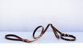 Load image into Gallery viewer, Teeny-Tiny Leather Leash & Collar Set