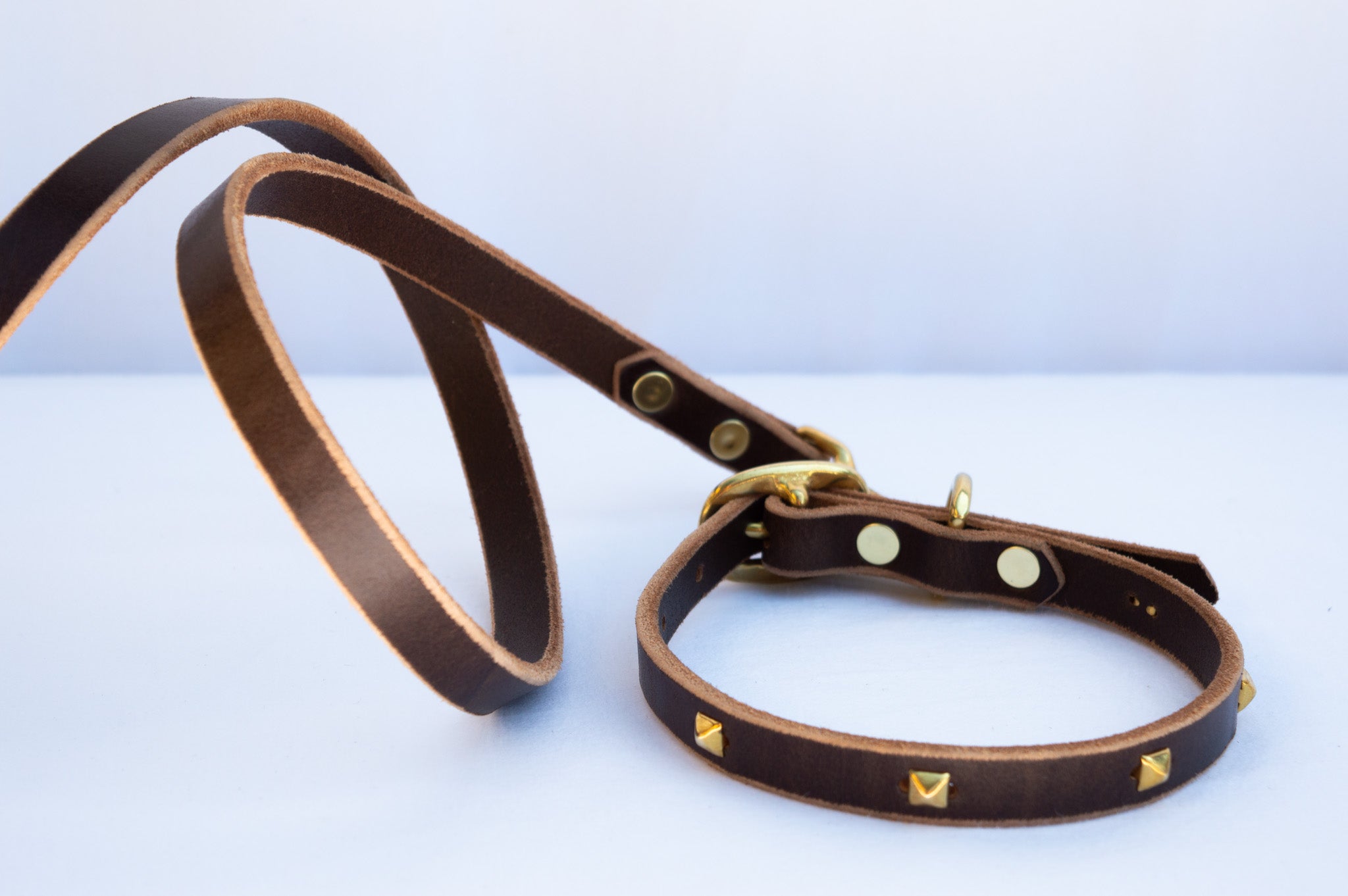 Teeny-Tiny Leather Leash & Collar Set