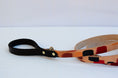 Load image into Gallery viewer, Free Fallin' ~ Leash & Collar Set