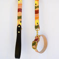 Load image into Gallery viewer, Sweater Weather ~ Leash & Collar Set