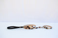 Load image into Gallery viewer, Modern Mind ~ Leash & Collar Set