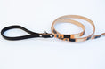 Load image into Gallery viewer, Modern Mind ~ Leash & Collar Set
