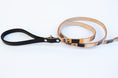 Load image into Gallery viewer, Modern Mind ~ Leash & Collar Set