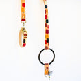 Load image into Gallery viewer, Free Fallin' ~ O-Ring Leash & Collar Set