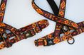 Load image into Gallery viewer, Get Outside ~ Leash, Collar & Harness Set