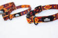 Load image into Gallery viewer, Get Outside ~ Leash, Collar & Harness Set