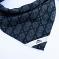 Load image into Gallery viewer, Archie Bandana