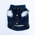 Load image into Gallery viewer, Bad to the Bone ~ Dog Vest