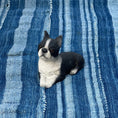 Load image into Gallery viewer, 'Billy' the Boston Terrier
