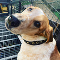 Load image into Gallery viewer, Big Bubba Collar
