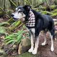 Load image into Gallery viewer, SADDLE UP BANDANA