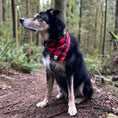 Load image into Gallery viewer, RED RYDER BANDANA