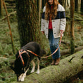 Load image into Gallery viewer, Get Outside ~ Leash, Collar & Harness Set