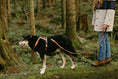 Load image into Gallery viewer, Get Outside ~ Leash, Collar & Harness Set
