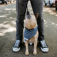 Load image into Gallery viewer, Brutus Bandana