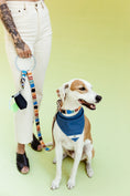Load image into Gallery viewer, Eazy Breezy ~ O-Ring Leash & Collar Set