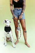 Load image into Gallery viewer, Modern Mind ~ O-Ring Leash & Collar Set