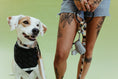 Load image into Gallery viewer, Modern Mind ~ O-Ring Leash & Collar Set