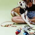 Load image into Gallery viewer, Sweater Weather ~ O-Ring Leash & Collar Set