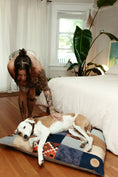Load image into Gallery viewer, Patchwork Dog Bed ~ WILD COYOTE