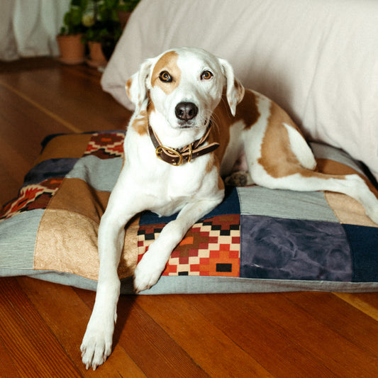 Patchwork Dog Bed ~ WILD COYOTE