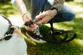Load image into Gallery viewer, Hands-Free Leash