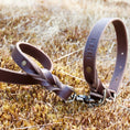 Load image into Gallery viewer, Braided Leather Leash ~ Brown
