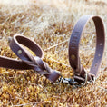 Load image into Gallery viewer, Braided Leather Leash ~ Brown