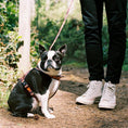 Load image into Gallery viewer, Get Outside ~ Harness