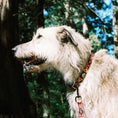 Load image into Gallery viewer, Get Outside ~ Collar