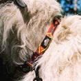 Load image into Gallery viewer, Get Outside ~ Collar