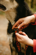 Load image into Gallery viewer, Get Outside ~ Harness