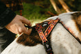 Load image into Gallery viewer, Get Outside ~ Harness