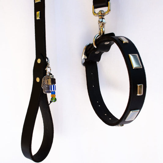 Studly Roy Leather Leash & Collar Set