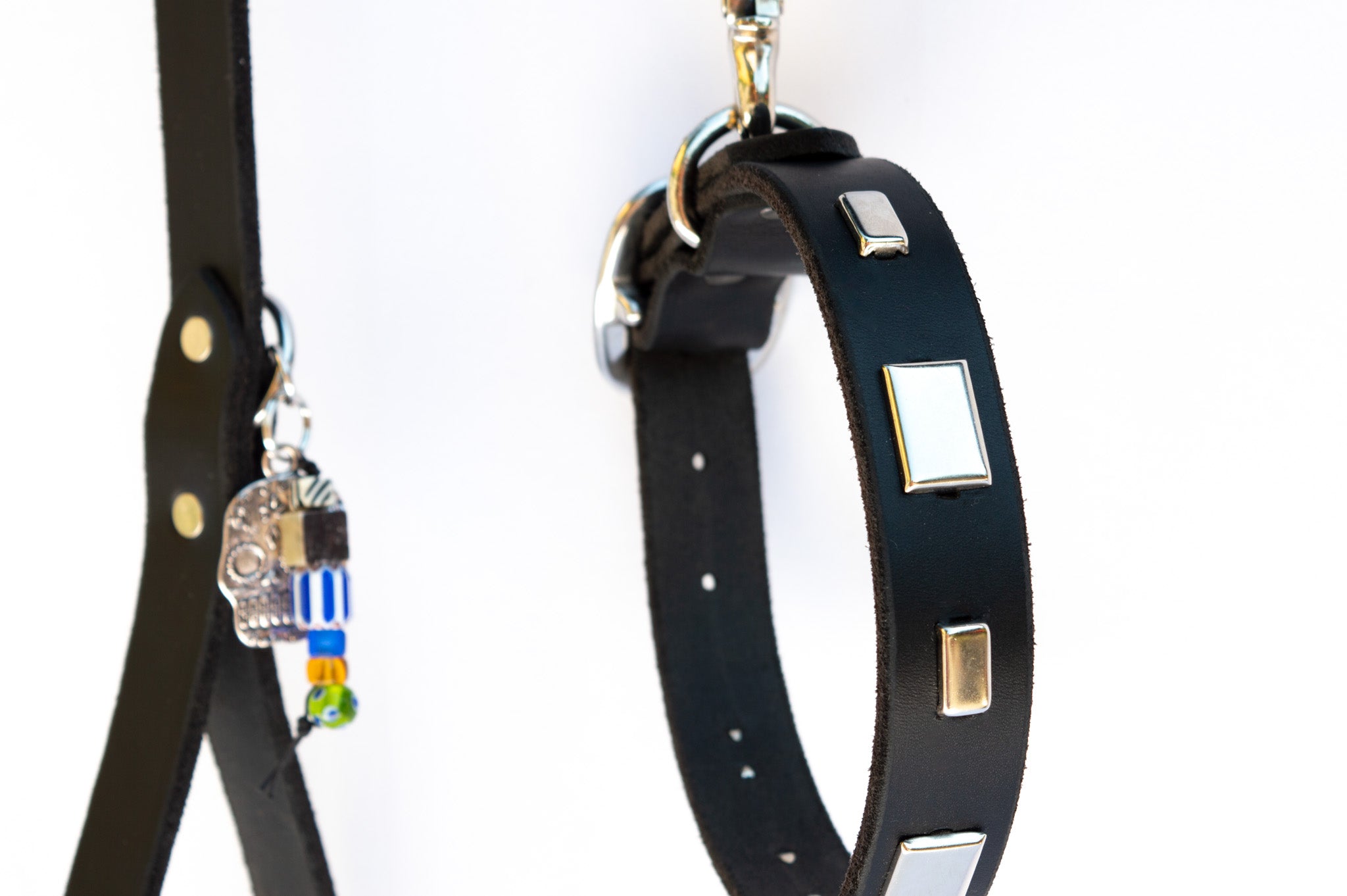 Studly Roy Leather Leash & Collar Set