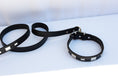 Load image into Gallery viewer, Studly Roy Leather Leash & Collar Set
