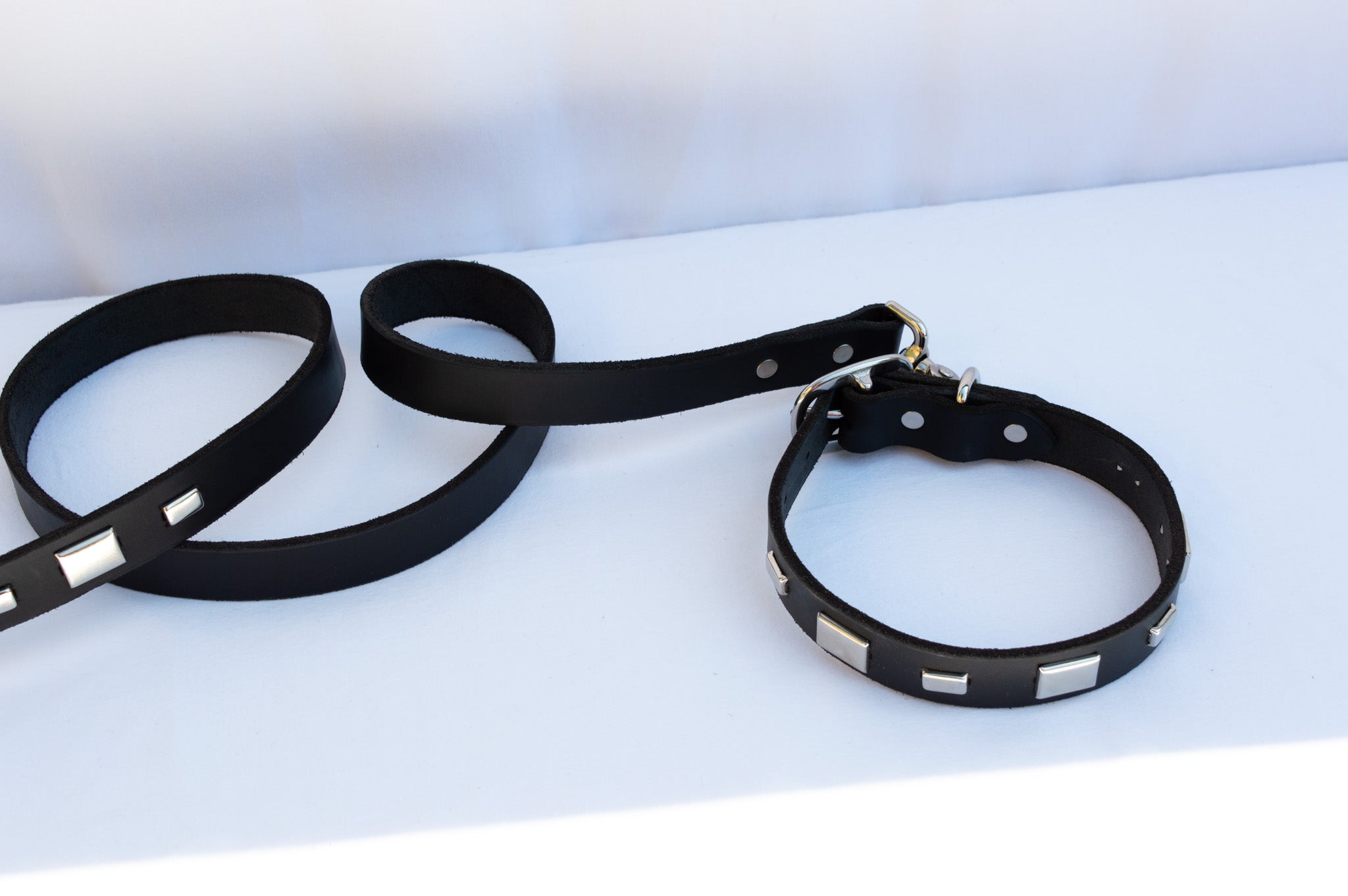 Studly Roy Leather Leash & Collar Set