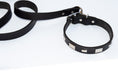 Load image into Gallery viewer, Studly Roy Leather Leash & Collar Set
