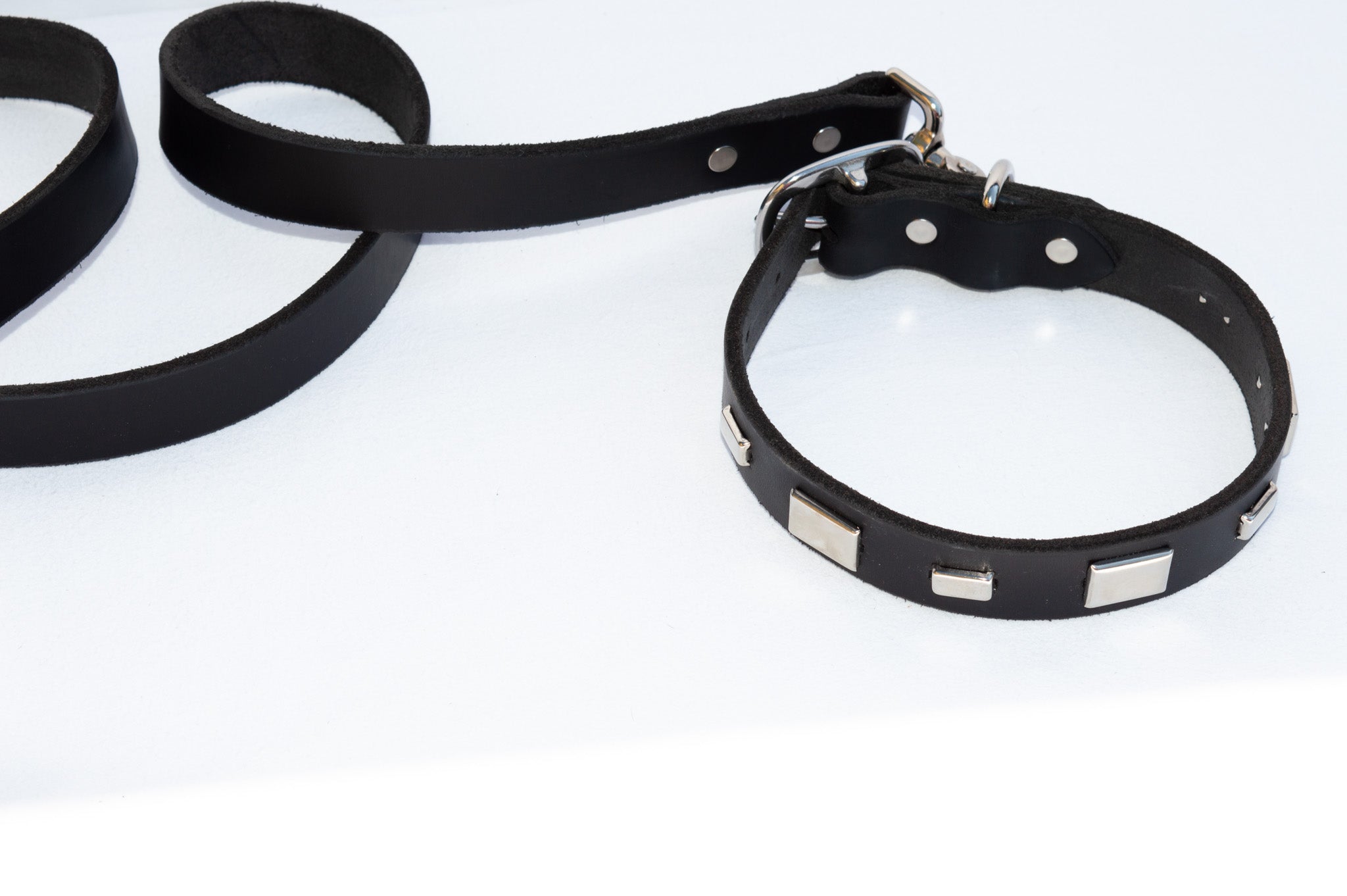 Studly Roy Leather Leash & Collar Set