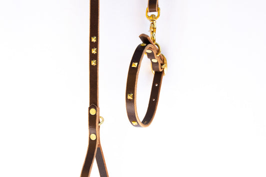 Teeny-Tiny Leather Leash & Collar Set