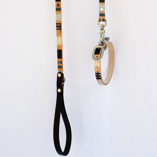 Modern Mind ~ Leash & Collar Set