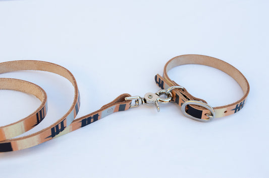 Modern Mind ~ Leash & Collar Set